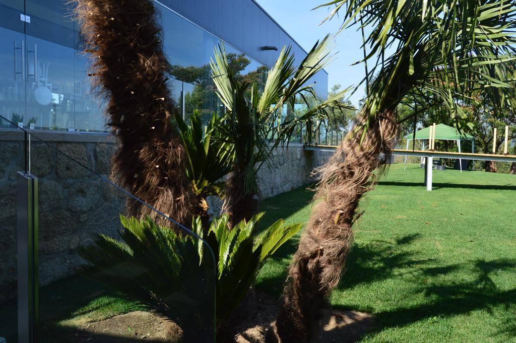 Quinta Das Tulipas Villa บาร์เซลอส ภายนอก รูปภาพ